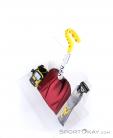 Pieps Set iProbe II Avalanche Rescue Kit, Pieps, Multicolor, , , 0035-10084, 5637641526, 9120029064171, N4-04.jpg