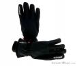 Zanier Mountain WS Gloves, Zanier, Black, , Male,Female,Unisex, 0121-10017, 5637645733, 9008541316957, N2-02.jpg