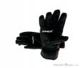 Zanier Mountain WS Gloves, Zanier, Black, , Male,Female,Unisex, 0121-10017, 5637645733, 9008541316957, N2-12.jpg