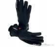 Zanier Mountain WS Gloves, Zanier, Black, , Male,Female,Unisex, 0121-10017, 5637645733, 9008541316957, N3-03.jpg