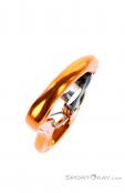 Grivel Clepsydra L K10G Twingate-Lock Karabiner, , Orange, , , 0123-10024, 5637647434, , N4-19.jpg