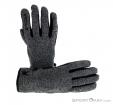 Spyder Bandit Strike Mens Gloves, Spyder, Čierna, , Muži, 0039-10184, 5637647892, 191839079371, N2-02.jpg