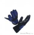 Oakley Factory Park Gloves, Oakley, Blue, , Male,Female,Unisex, 0064-10159, 5637648141, 190645514106, N4-19.jpg