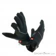 Löffler Tour WS Softshell Warm Gloves, Löffler, Black, , Male,Female,Unisex, 0008-10580, 5637649383, 9006063163400, N3-18.jpg