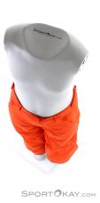 O'Neill Anvil Pant Boys Ski Pants, , Orange, , Boy, 0199-10193, 5637649390, , N4-04.jpg
