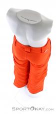 O'Neill Anvil Pant Boys Ski Pants, , Orange, , Boy, 0199-10193, 5637649390, , N4-14.jpg