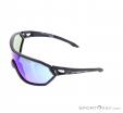 Alpina S-Way CM+ Sunglasses, Alpina, Black, , Male,Female,Unisex, 0027-10140, 5637656214, 4003692265975, N2-07.jpg