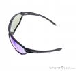 Alpina S-Way CM+ Sunglasses, Alpina, Black, , Male,Female,Unisex, 0027-10140, 5637656214, 4003692265975, N3-08.jpg