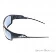 Alpina Testido P Sunglasses, Alpina, Black, , Male,Female,Unisex, 0027-10142, 5637656217, 4003692229984, N2-07.jpg