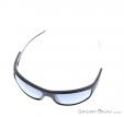 Alpina Testido P Sunglasses, , Black, , Male,Female,Unisex, 0027-10142, 5637656217, , N3-03.jpg