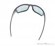 Alpina Keekor P Sunglasses, Alpina, Noir, , Hommes,Femmes,Unisex, 0027-10143, 5637656218, 4003692237897, N3-13.jpg