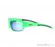 Alpina Keekor VL Sunglasses, Alpina, Green, , Male,Female,Unisex, 0027-10144, 5637656220, 4003692237934, N1-06.jpg