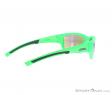 Alpina Keekor VL Sunglasses, , Green, , Male,Female,Unisex, 0027-10144, 5637656220, , N1-16.jpg