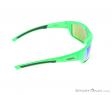 Alpina Keekor VL Sunglasses, , Green, , Male,Female,Unisex, 0027-10144, 5637656220, , N2-17.jpg