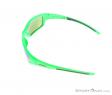 Alpina Keekor VL Sunglasses, , Green, , Male,Female,Unisex, 0027-10144, 5637656220, , N3-08.jpg