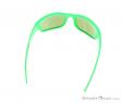 Alpina Keekor VL Sunglasses, , Green, , Male,Female,Unisex, 0027-10144, 5637656220, , N3-13.jpg