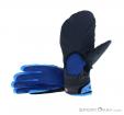Dynafit Mercury DST Gloves, Dynafit, Blue, , Male,Female,Unisex, 0015-10693, 5637657385, 4053865738188, N1-11.jpg