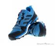 adidas Terrex Skychaser LT Mens Trekking Shoes Gore-Tex, adidas Terrex, Blue, , Male, 0002-11360, 5637657638, 4060509372769, N1-06.jpg