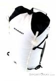 Mammut Trion 18l Backpack, , White, , Male,Female,Unisex, 0014-10936, 5637662339, , N3-03.jpg