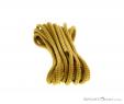 Mammut Cord 6mm 5,5m Pomocné lano (reep), Mammut, Červená, , , 0014-10991, 5637663627, 7613357408769, N2-07.jpg