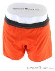 Dynafit Alpine Pro 2in1 Shorts Mens Running Shorts, Dynafit, Orange, , Hommes, 0015-10742, 5637672915, 4053865974678, N3-03.jpg