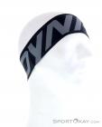 Dynafit Performance Dry Slim Headband, Dynafit, Gray, , Male,Female,Unisex, 0015-10747, 5637672980, 4053865979840, N1-01.jpg