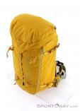 Ortovox Trad S 33l Climbing Backpack, Ortovox, Yellow, , Male,Female,Unisex, 0016-10862, 5637673710, 4251422522502, N3-03.jpg