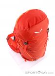 Salewa Apex Guide 45l Backpack, , Orange, , Male,Female,Unisex, 0032-10617, 5637676580, , N4-19.jpg