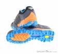 Dynafit Feline SL Mens Trail Running Shoes, Dynafit, Gris, , Hommes, 0015-10771, 5637680531, 4053866014205, N2-12.jpg