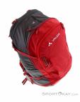Vaude Alpin 30+5l Bike Backpack, , Red, , Male,Female,Unisex, 0239-10507, 5637688090, , N3-18.jpg