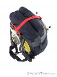 La Sportiva Alpine 30l Backpack, La Sportiva, Black, , Male,Female,Unisex, 0024-10567, 5637691138, 8020647784288, N4-14.jpg