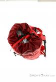 Arcteryx Alpha FL 30l Backpack, , Rouge, , Hommes,Femmes,Unisex, 0213-10312, 5637692095, , N4-04.jpg