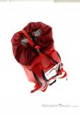 Arcteryx Alpha FL 30l Backpack, , Rouge, , Hommes,Femmes,Unisex, 0213-10312, 5637692095, , N4-09.jpg
