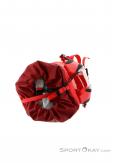 Arcteryx Alpha FL 30l Backpack, , Red, , Male,Female,Unisex, 0213-10312, 5637692095, , N5-05.jpg
