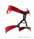 Arcteryx FL-365 Harness Mens Climbing Harness, Arcteryx, Red, , , 0213-10323, 5637692332, 0, N1-01.jpg