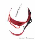 Arcteryx FL-365 Harness Mens Climbing Harness, , Red, , , 0213-10323, 5637692332, , N4-19.jpg