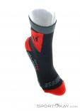Dainese Riding Socks Mid Biking Socks, Dainese, Red, , Male,Female,Unisex, 0055-10170, 5637693718, 0, N3-03.jpg