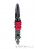 LACD Biner Oval Screw Safe Lock Carabiner, LACD, Gray, , , 0301-10014, 5637698137, 4260109254575, N1-06.jpg