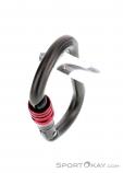 LACD Biner Oval Screw Safe Lock Carabiner, LACD, Sivá, , , 0301-10014, 5637698137, 4260109254575, N3-08.jpg