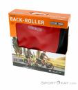 Ortlieb Back-Roller Classic QL2.1 20l Luggage Rack Bag Set, Ortlieb, Rouge, , Unisex, 0323-10069, 5637701842, 4013051037273, N2-02.jpg