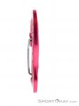 Austrialpin Micro Light Carabiner, Austrialpin, Pink, , , 0087-10103, 5637703351, 9006381420209, N1-16.jpg
