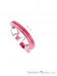 Austrialpin Micro Light Schnappkarabiner, , Pink-Rosa, , , 0087-10103, 5637703351, , N4-14.jpg