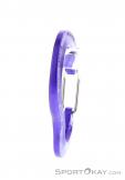 Austrialpin Micro Light Carabiner, Austrialpin, Purple, , , 0087-10103, 5637703352, 9006381420285, N2-17.jpg