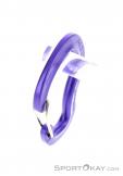 Austrialpin Micro Light Carabiner, Austrialpin, Purple, , , 0087-10103, 5637703352, 9006381420285, N3-08.jpg