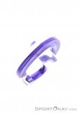 Austrialpin Micro Light Carabiner, Austrialpin, Purple, , , 0087-10103, 5637703352, 9006381420285, N4-09.jpg