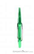 Austrialpin Micro Light Carabiner, Austrialpin, Green, , , 0087-10103, 5637703354, 9006381420261, N1-06.jpg
