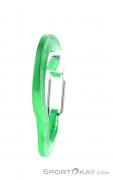 Austrialpin Micro Light Carabiner, Austrialpin, Green, , , 0087-10103, 5637703354, 9006381420261, N2-17.jpg