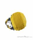 Lowe Alpine Altus ND 30l Backpack, , Yellow, , Male,Female,Unisex, 0322-10011, 5637703636, , N5-15.jpg