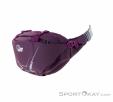 Lowe Alpine Mesa 6l Hip Bag, , Purple, , Male,Female,Unisex, 0322-10020, 5637704086, , N1-06.jpg