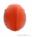 AustriAlpin Helm.UT Light Climbing Helmet, Austrialpin, Orange, , , 0087-10129, 5637705750, 9006381010332, N4-14.jpg